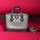 Gucci Ophidia