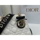 Dior Lady