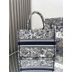 Dior Book Tote