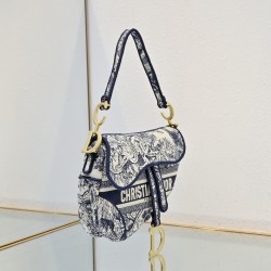 Dior Saddle