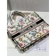 Dior Book Tote