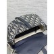 Dior Saddle