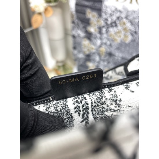 Dior Book Tote