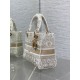 Dior Lady