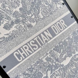 Dior Suitcase