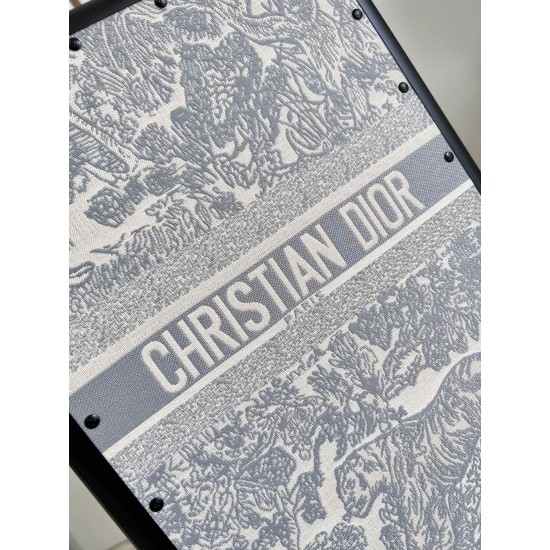 Dior Suitcase