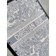 Dior Suitcase