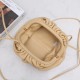 Bottega Veneta Pouch