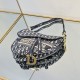 Dior Saddle