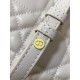 Dior Caro