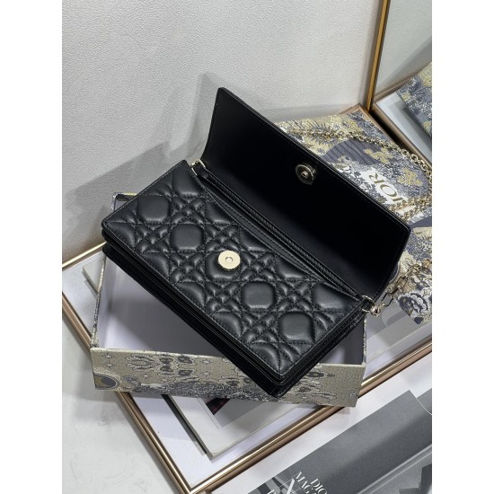 Dior Lady