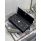 Dior Lady