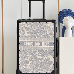 Dior Suitcase