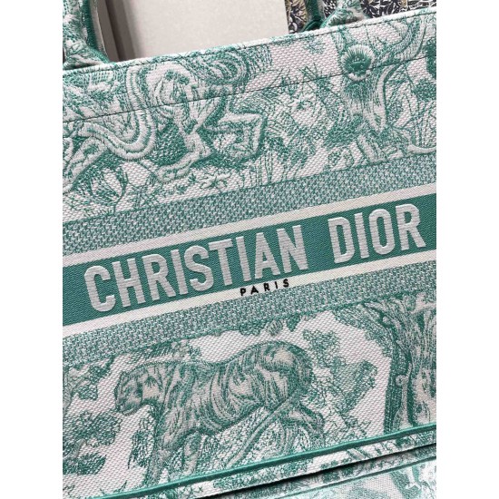 Dior Book Tote