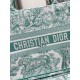 Dior Book Tote
