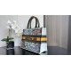 Dior Book Tote