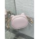 Dior Caro