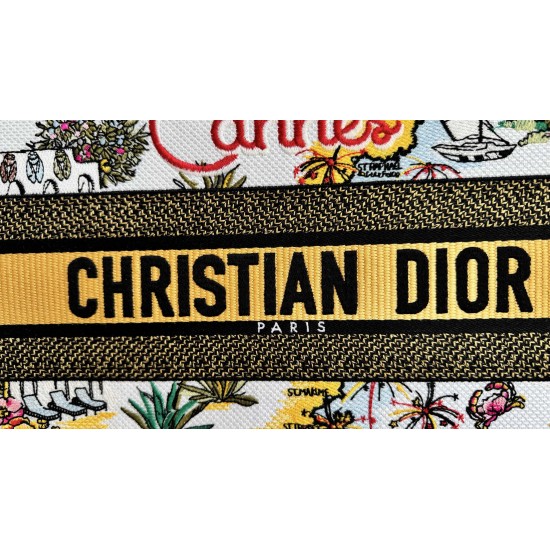 Dior Book Tote