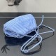 Bottega Veneta Pouch