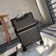 Dior Suitcase