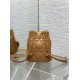 Dior Caro