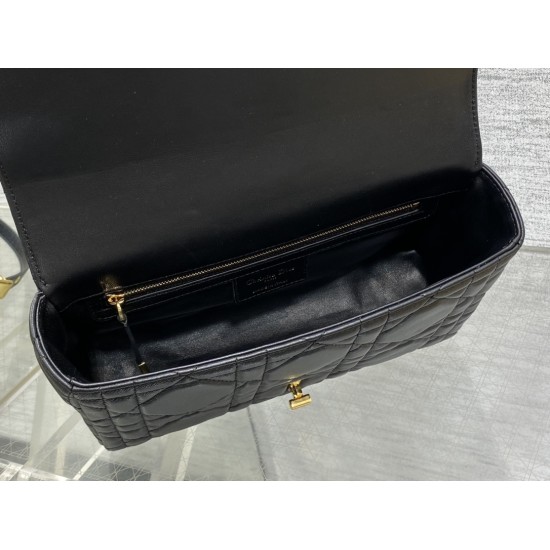 Dior Caro
