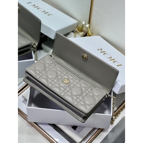 Dior Lady
