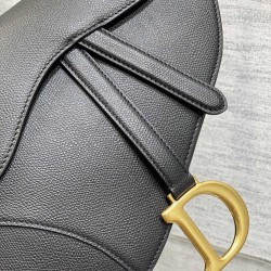 Dior Saddle
