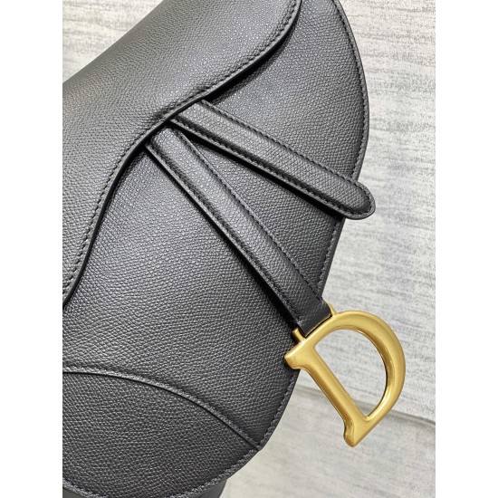 Dior Saddle