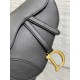 Dior Saddle