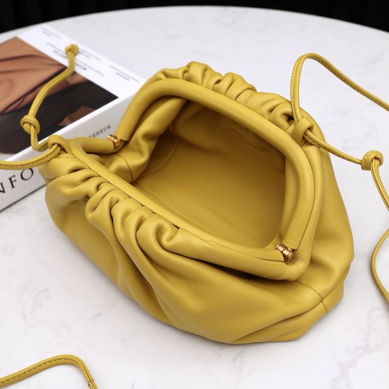 Bottega Veneta Pouch