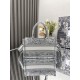Dior Book Tote