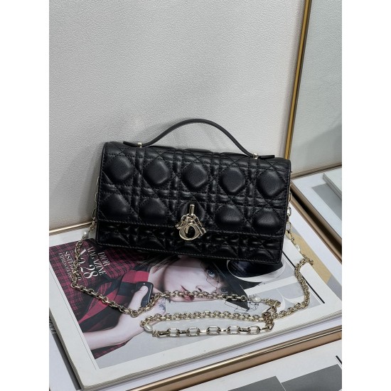 Dior Lady