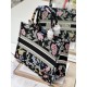 Dior Book Tote