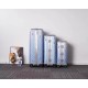 Dior Suitcase