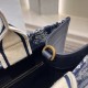 Dior Book Tote