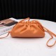 Bottega Veneta Pouch