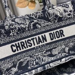 Dior Book Tote