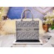 Dior Book Tote