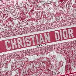 Dior Book Tote