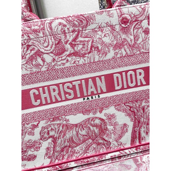 Dior Book Tote