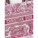Dior Book Tote