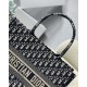 Dior Book Tote