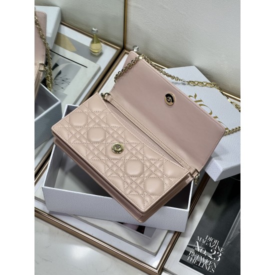 Dior Lady
