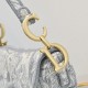 Dior Saddle