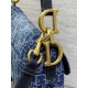 Dior Saddle