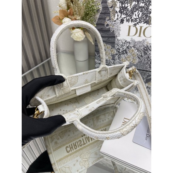 Dior Book Tote