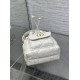 Dior Caro
