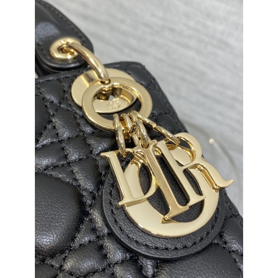 Dior Lady