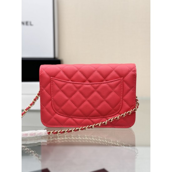 CHANEL WOC